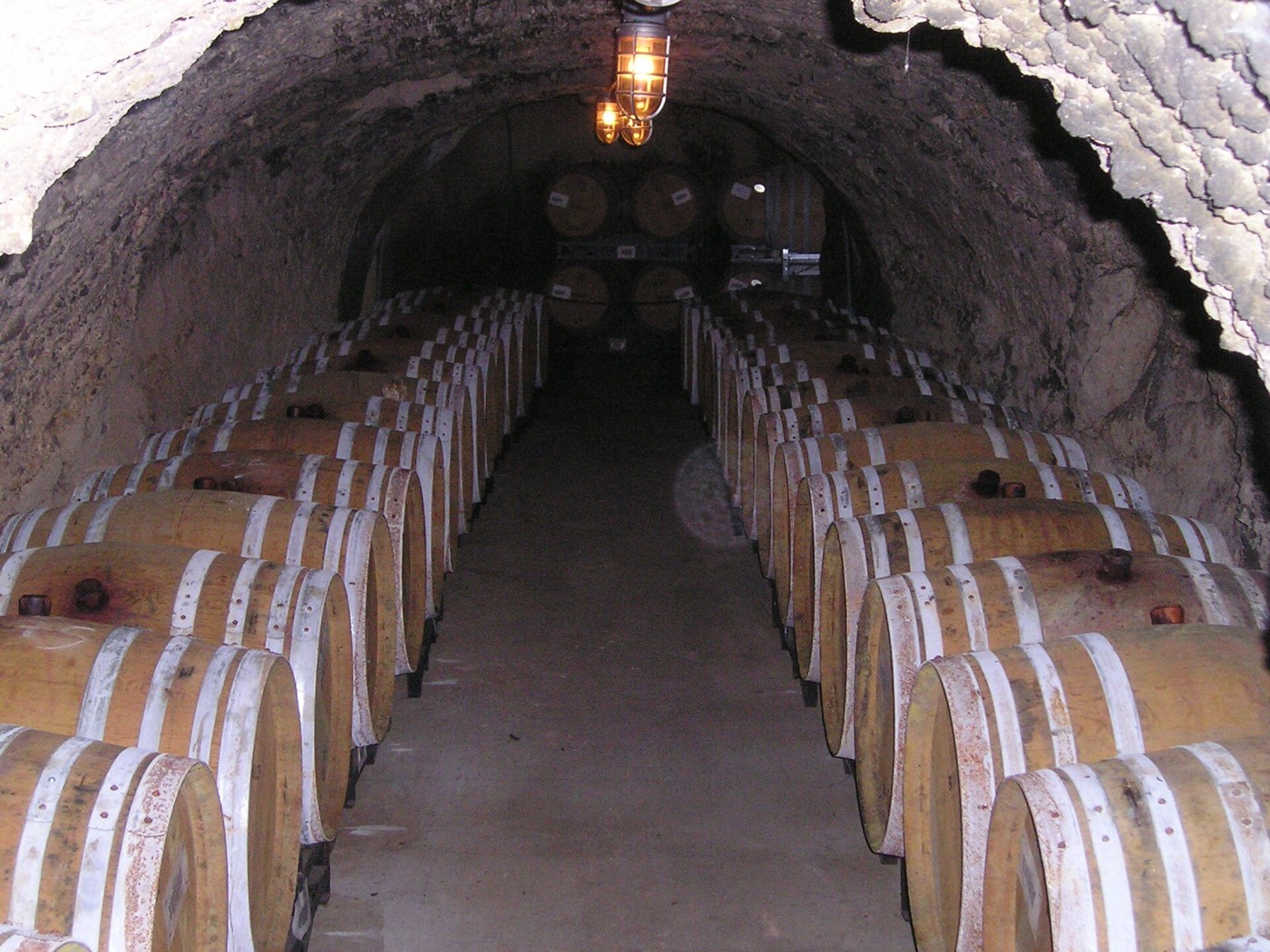 Nebbiolo Langhe