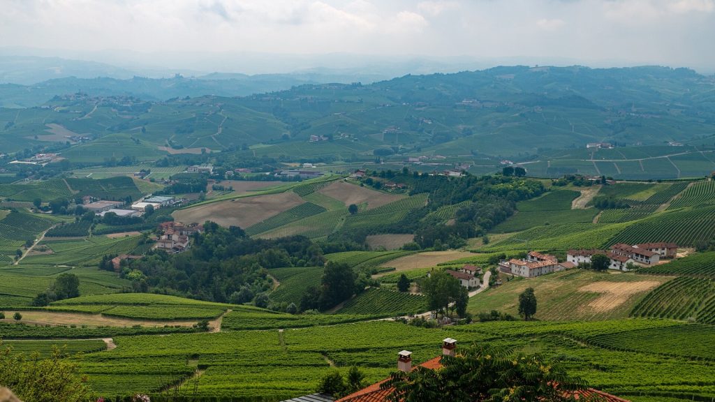 Barolo „Ciabot Mentin“ 2019 — Weinberge im Piemont