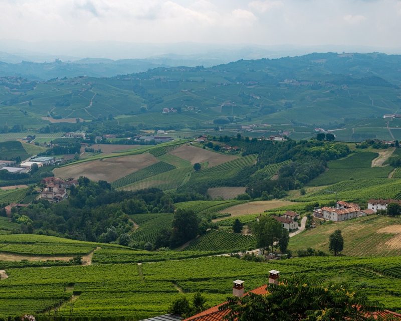 Blick von La Morra über die Weinberge des Barolo-Gebiets im Piemont