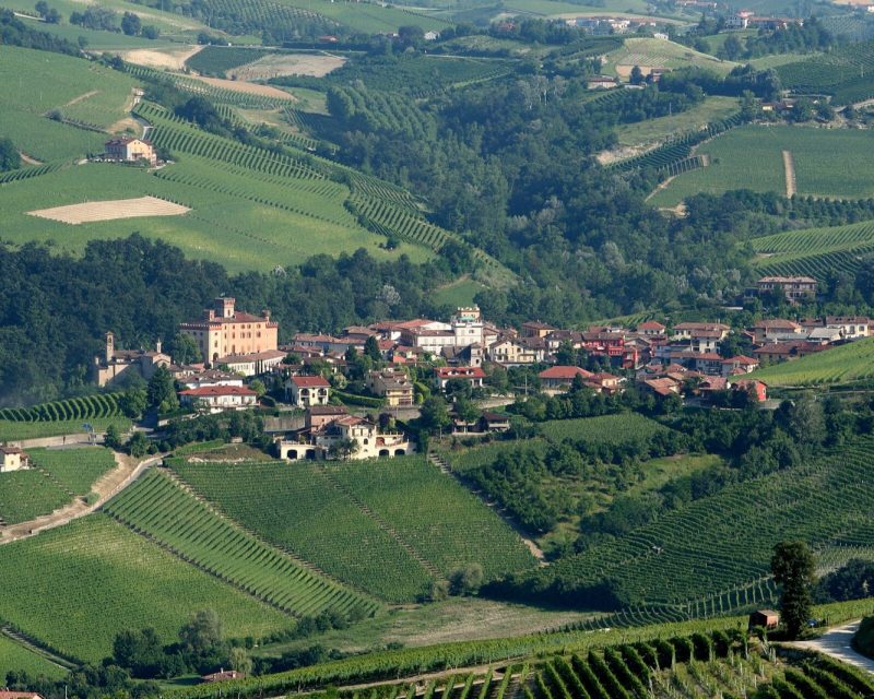 Weinberge bei Barolo im Piemont