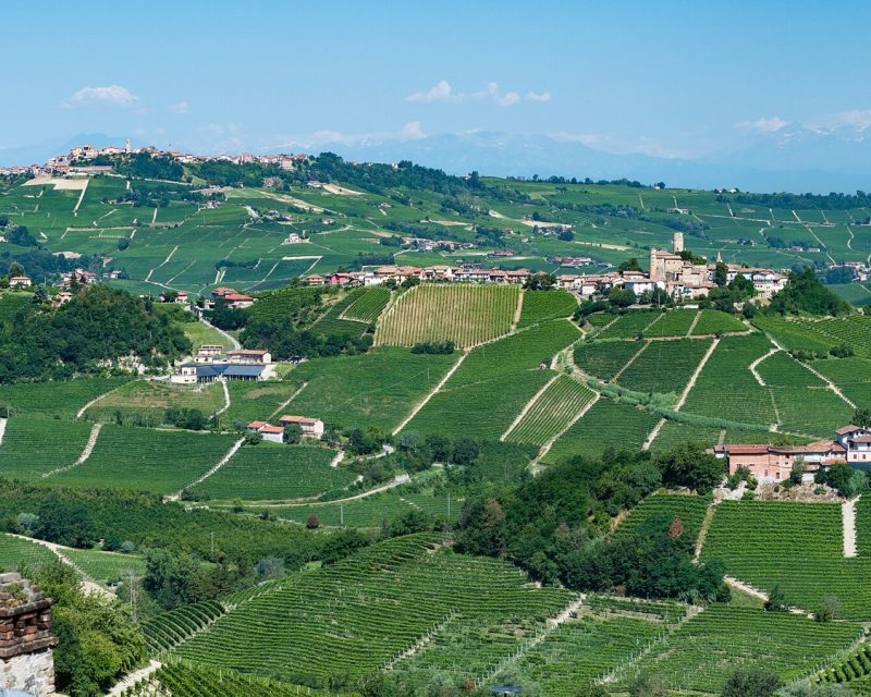 Castiglione Falletto und La Morra zwischen Weinbergen im Piemont