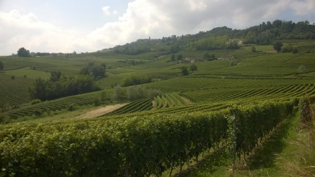 Barolo „Aeroplanservaj“ 2014 — Weinberge im Piemont